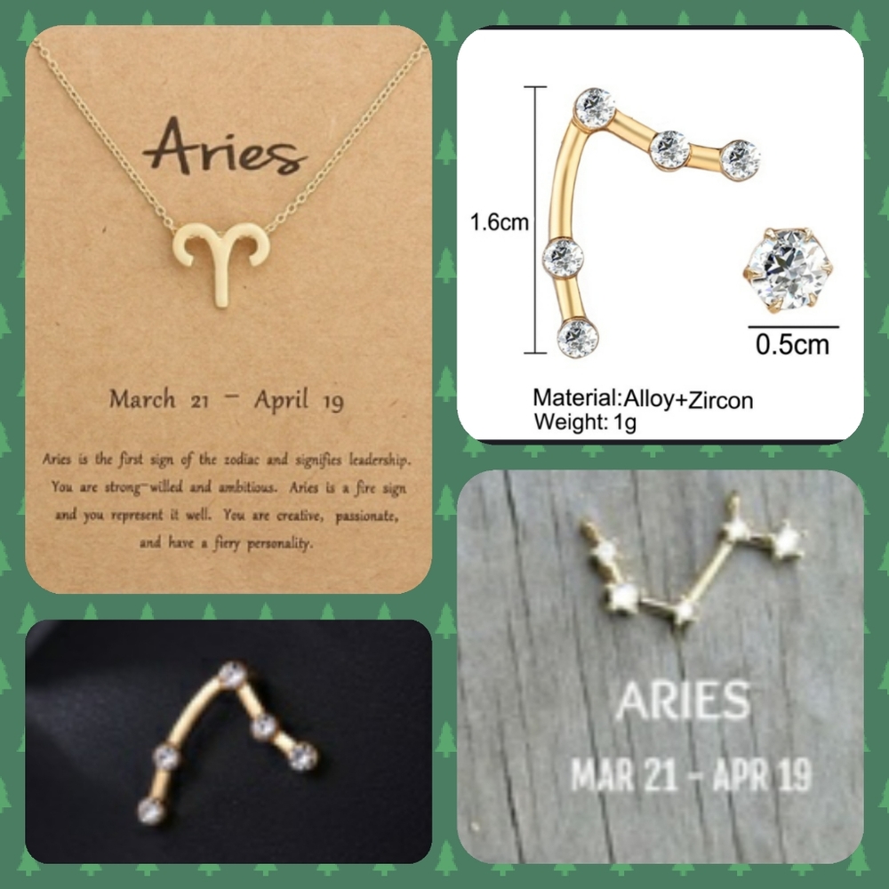 Aries necklace & earings